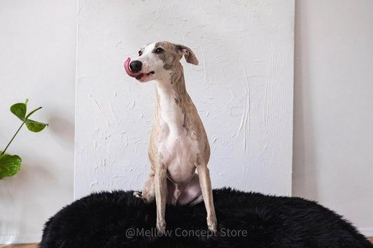 Oval Sheepskin⢠Luxury Pet Bed