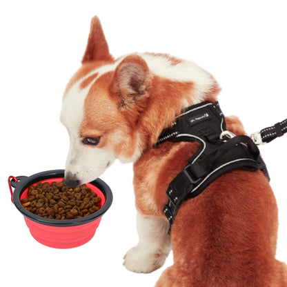 Mr. Peanut's Collapsible Silicone | For Pet Travel - 12oz