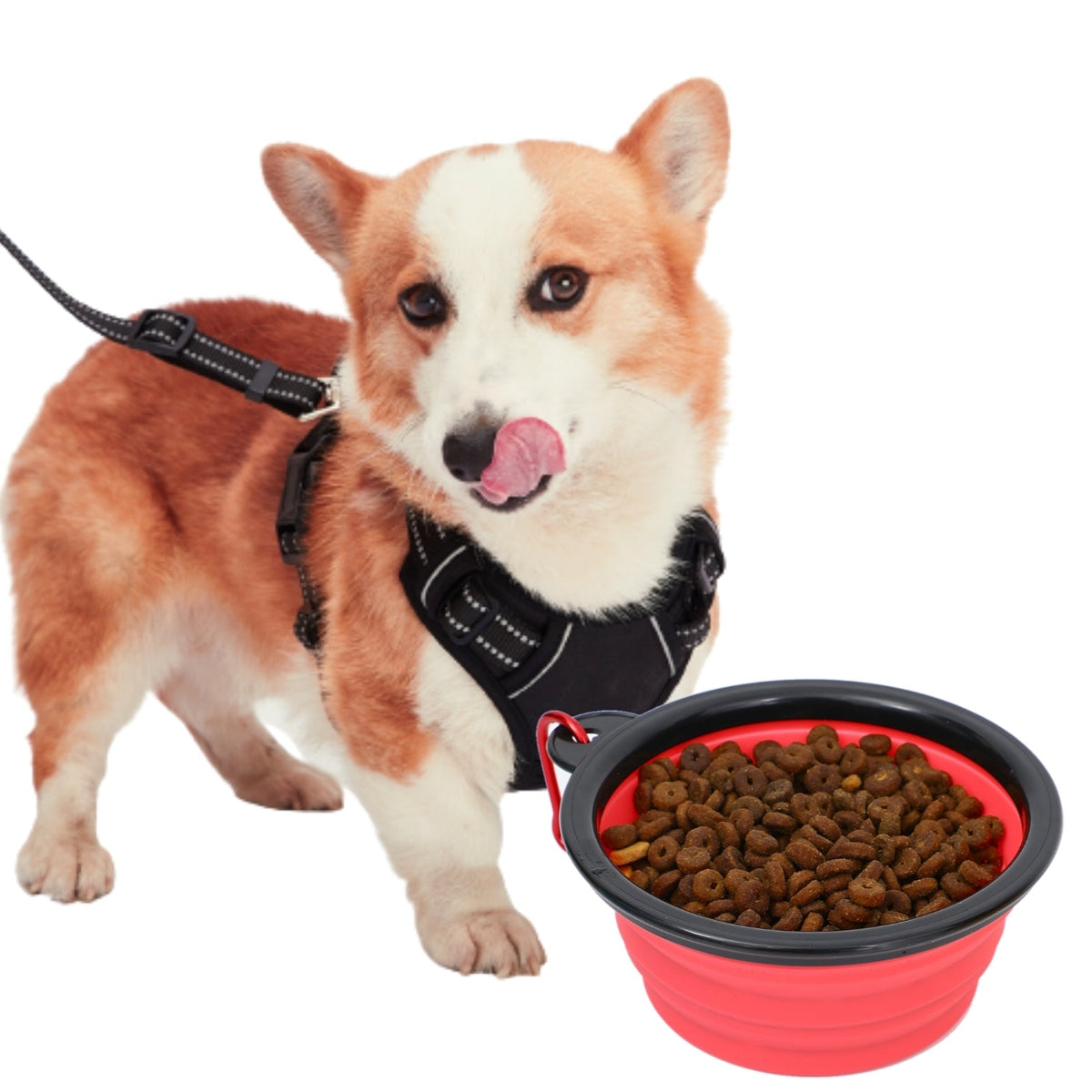 Mr. Peanut's Collapsible Silicone | For Pet Travel - 12oz