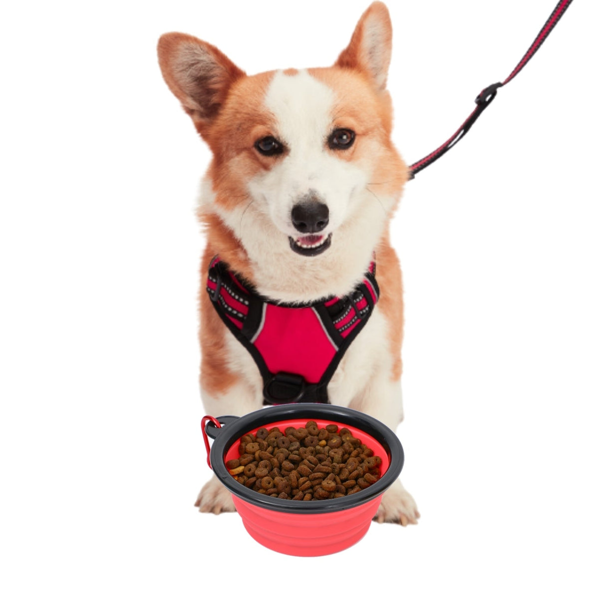 Mr. Peanut's Collapsible Silicone | For Pet Travel - 12oz