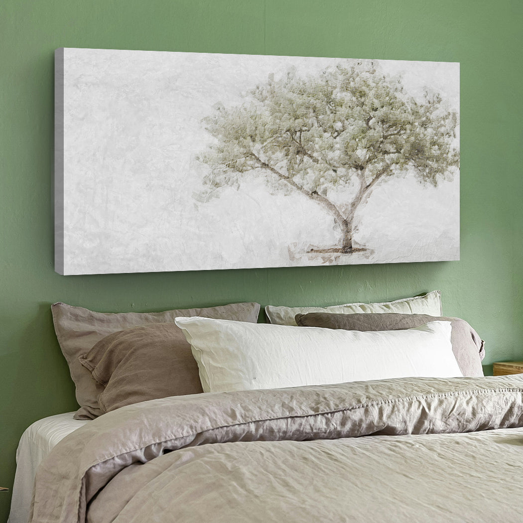 Olive Tree Faith