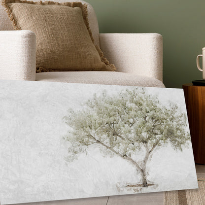 Olive Tree Faith
