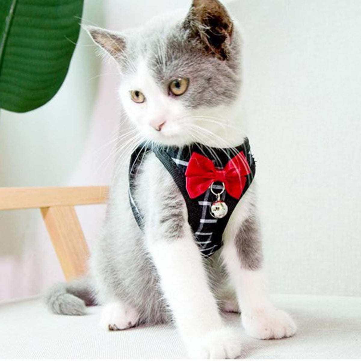 Cat Harness Leash Set | Breathable Adjustable