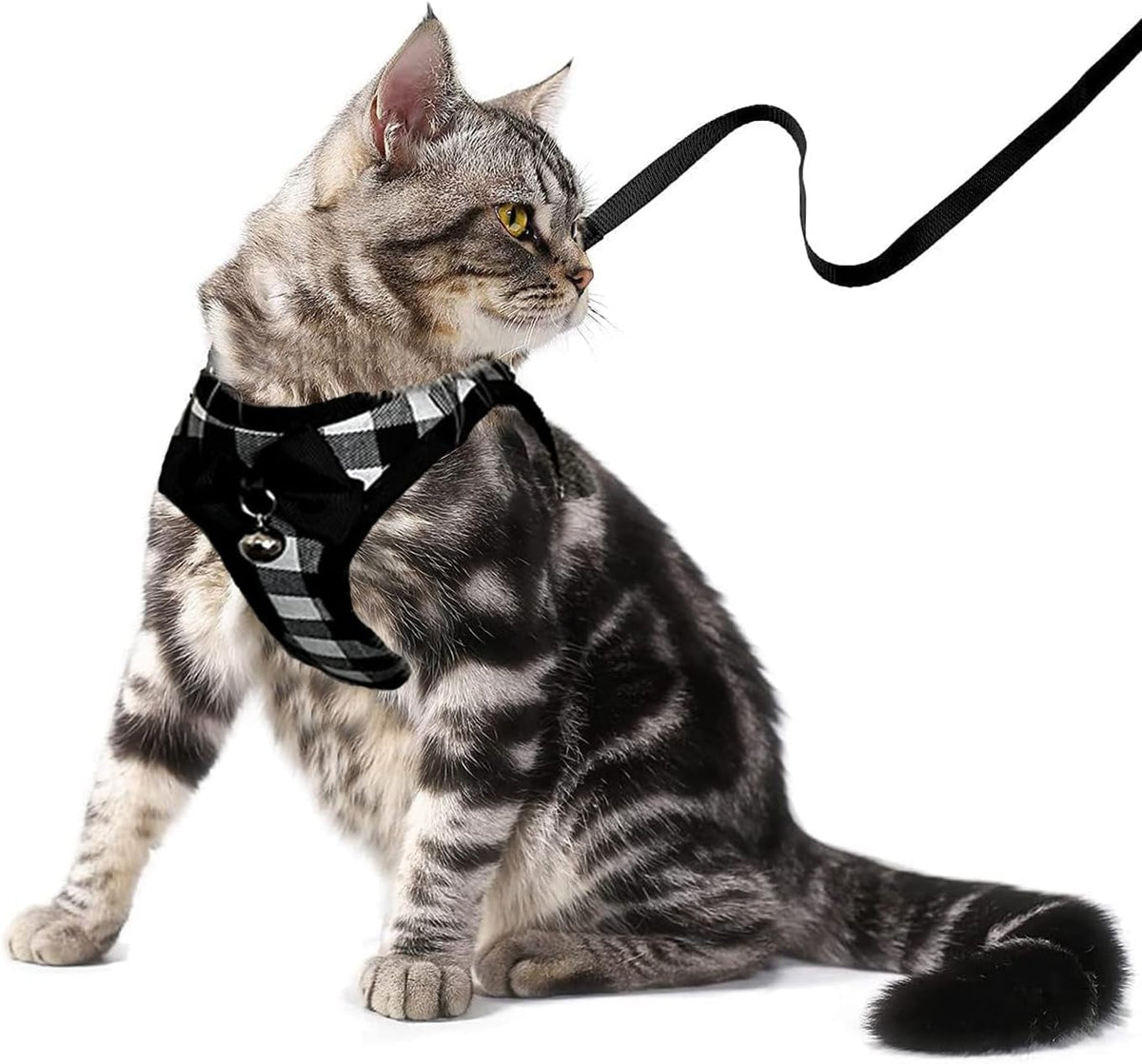 Cat Harness Leash Set | Breathable Adjustable