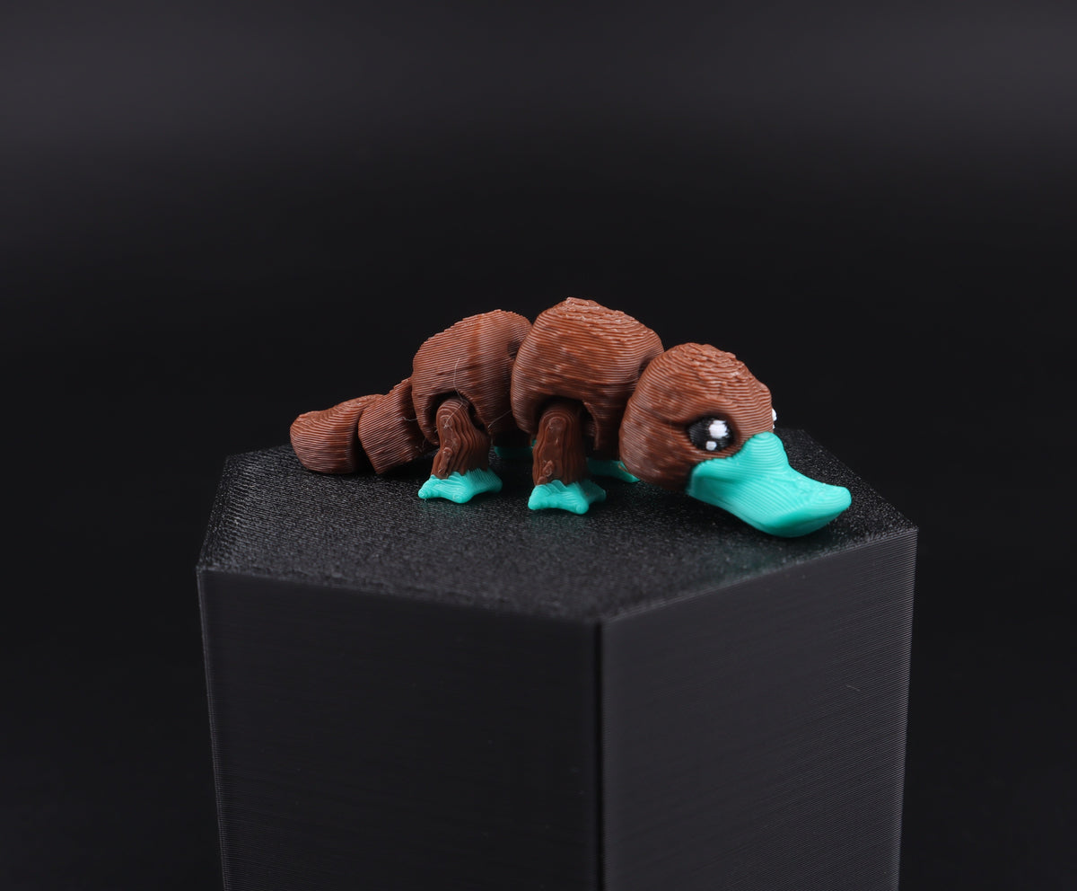 Mini Water Animal Fidget Toy | 20 Items