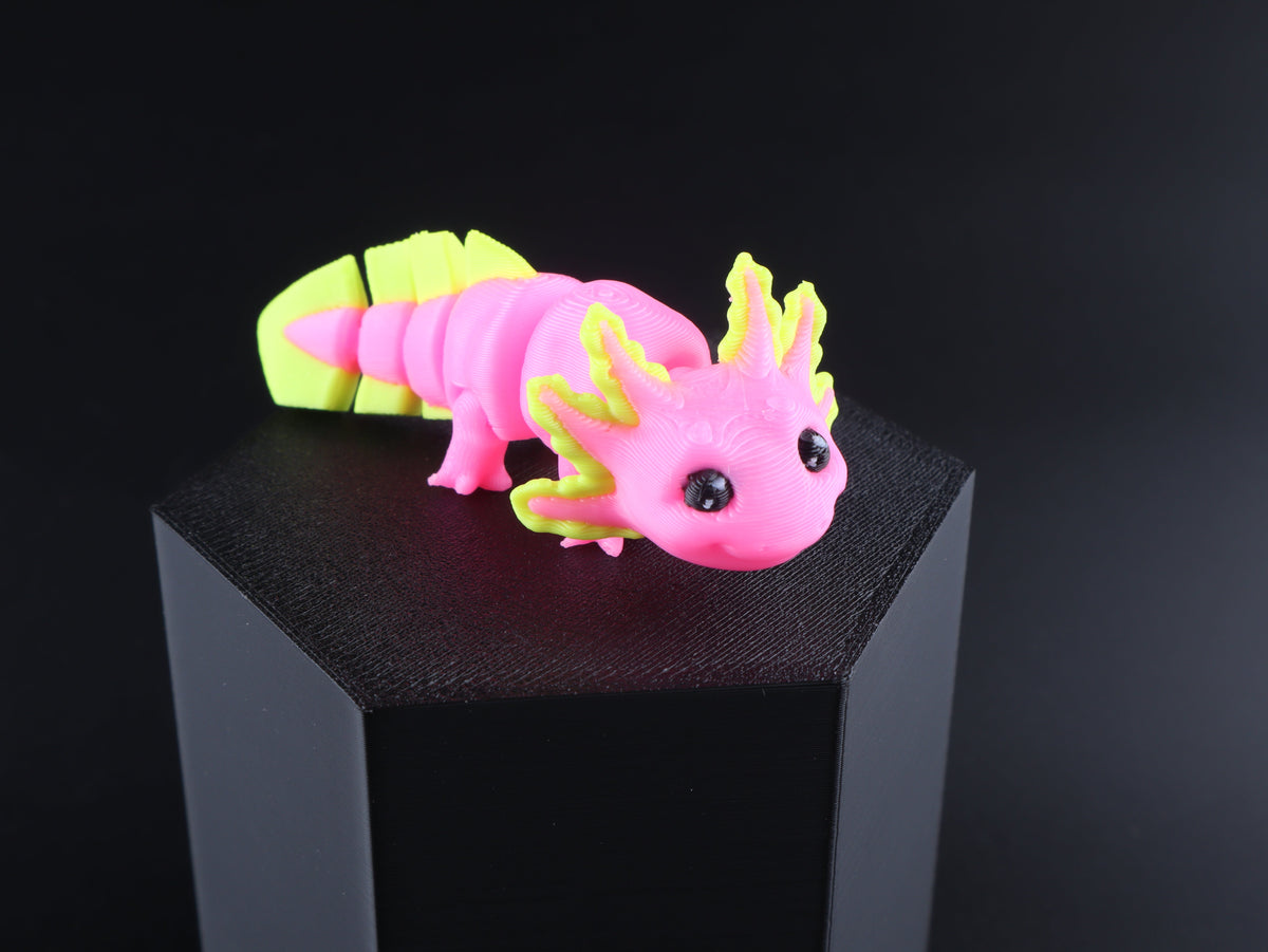 Mini Water Animal Fidget Toy | 20 Items