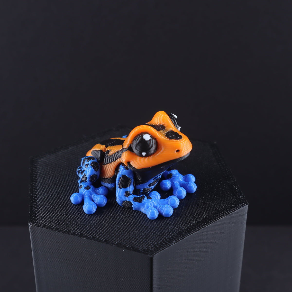 Mini Water Animal Fidget Toy | 20 Items