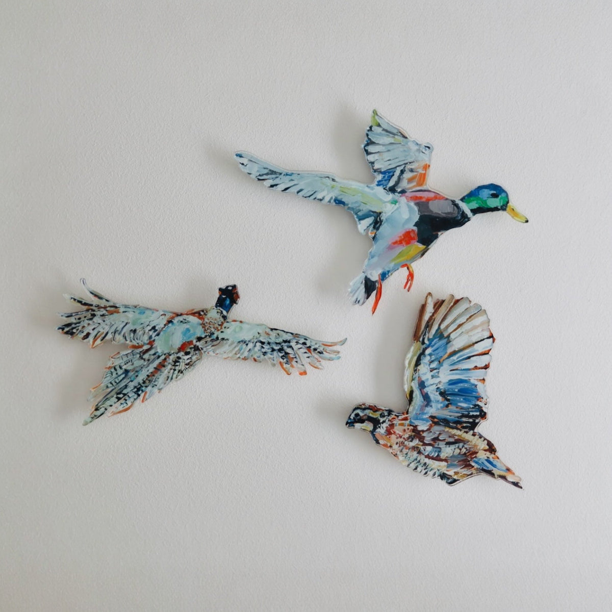 Quail Acrylic Wall Contour