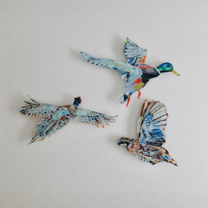 Quail Acrylic Wall Contour