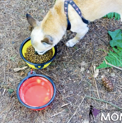 Mr. Peanut's Collapsible Silicone | For Pet Travel - 12oz