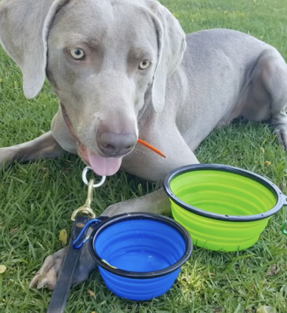 Mr. Peanut's Collapsible Silicone | For Pet Travel - 12oz