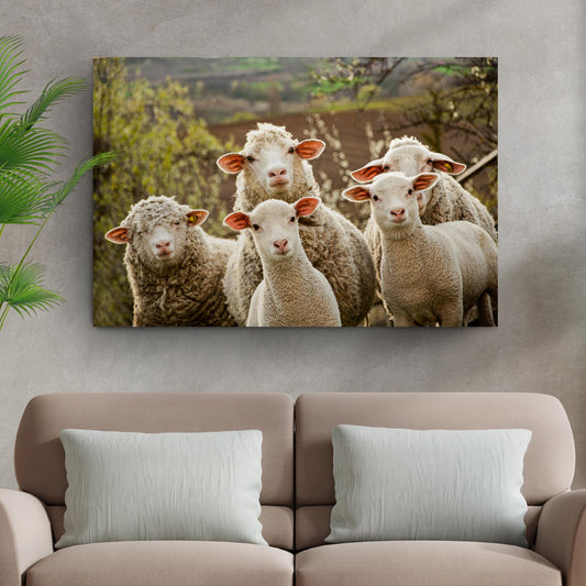 Curious Sheep Canvas