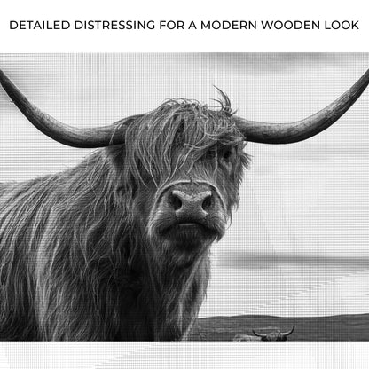 Highland Cow Black And White Portrait