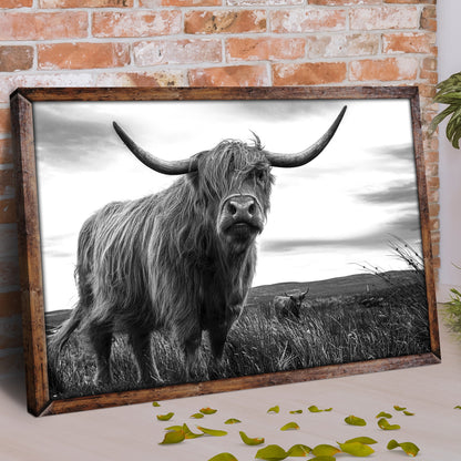 Highland Cow Black And White Portrait