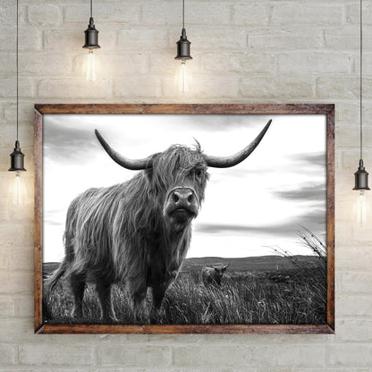 Highland Cow Black And White Portrait
