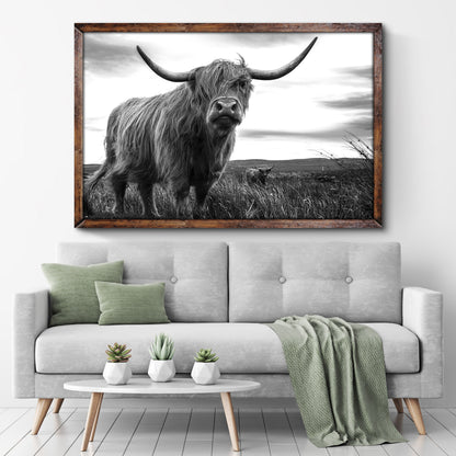 Highland Cow Black And White Portrait