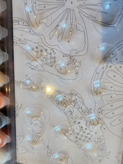 PAINTING BY NUMBERS: KOI FISH Set