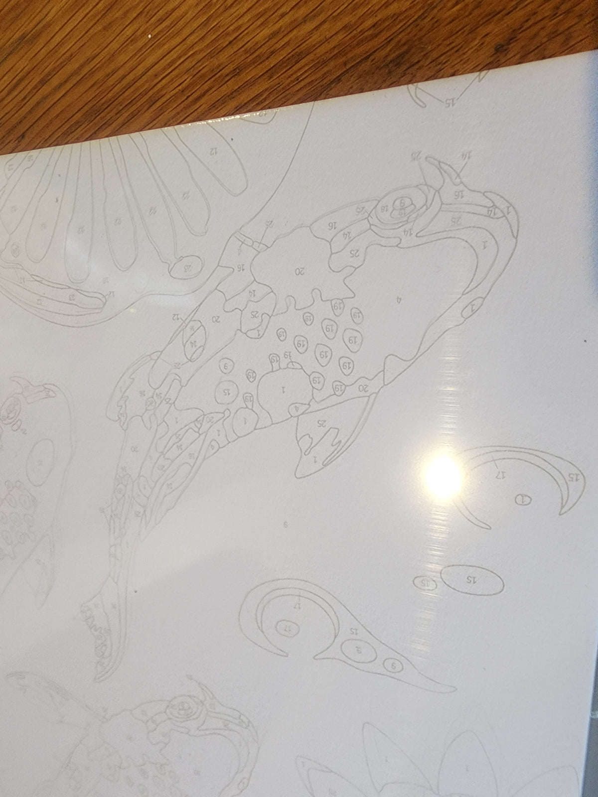 PAINTING BY NUMBERS: KOI FISH Set